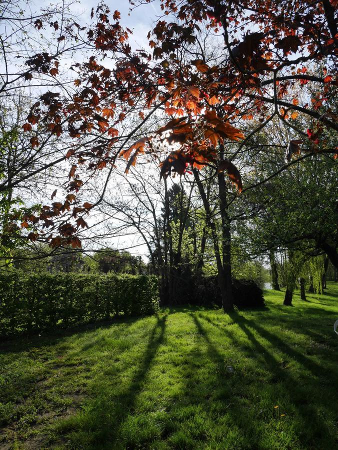 Le Jardin De La Reyssouze Bed and Breakfast Gorrevod Buitenkant foto